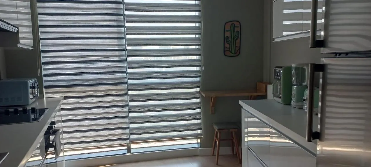 Tips For Istanbul Apartment