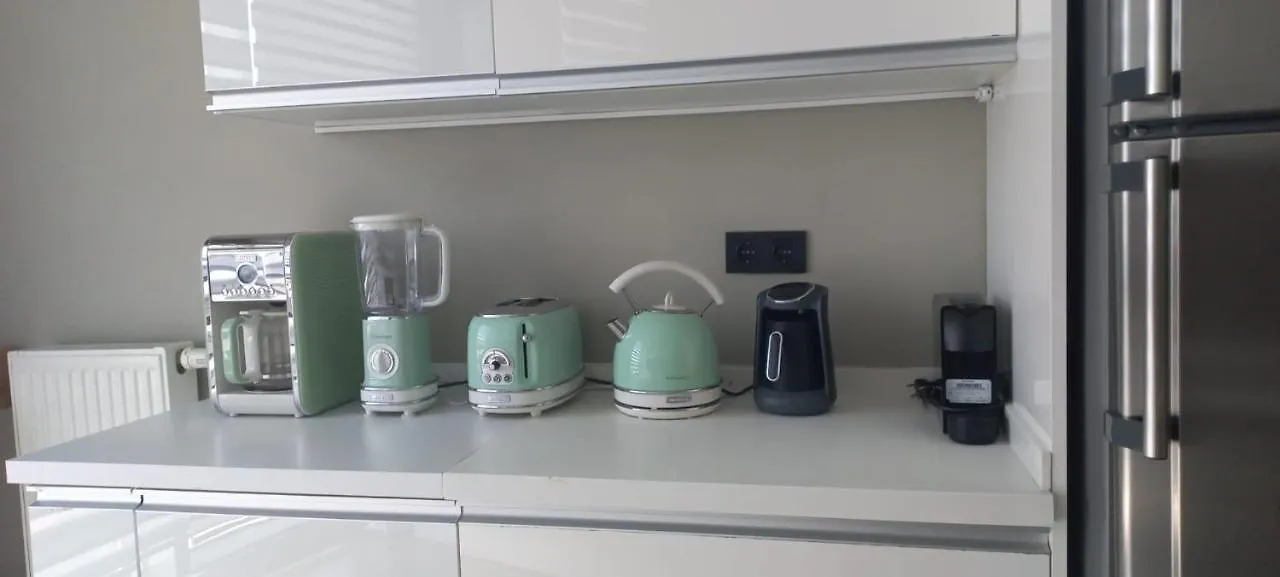 Tips For Istanbul Apartment