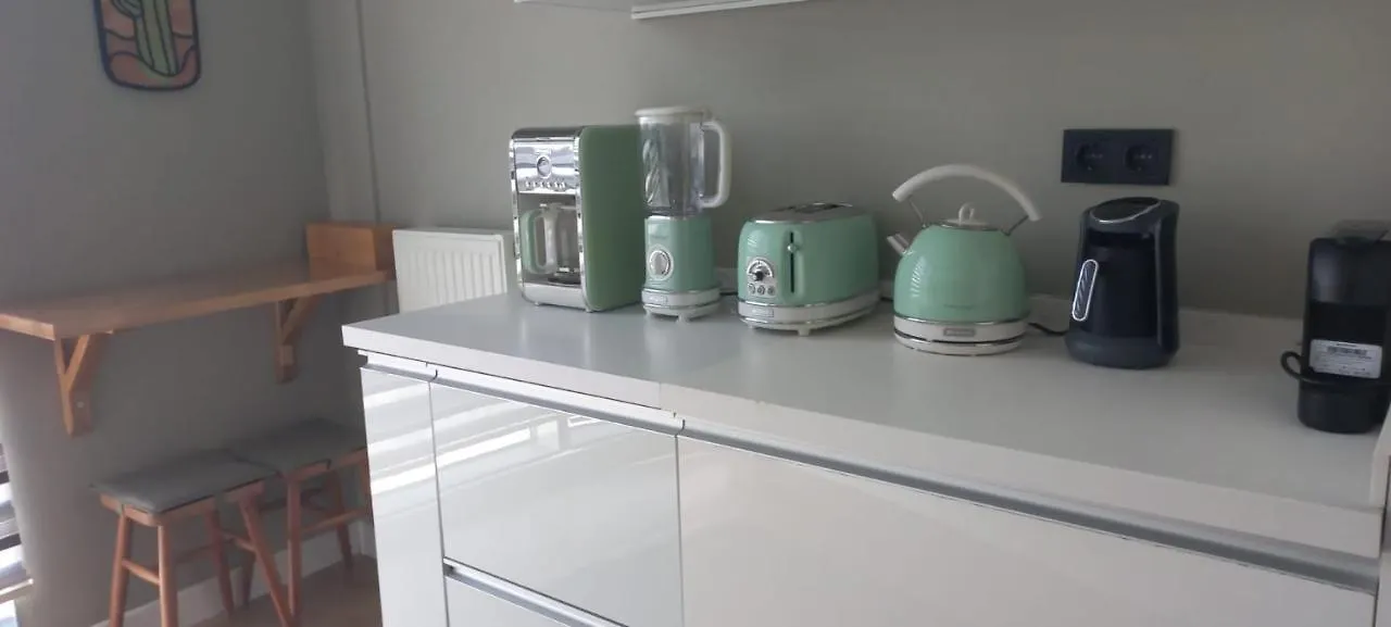 Tips For Istanbul Apartment